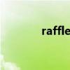 raffles university（raffle）