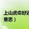 上山虎命好还是下山虎命好（下山虎命是什么意思）