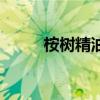 桉树精油的使用方法（桉树精油）