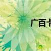 广百卡怎么查金额（广百卡）