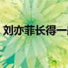 刘亦菲长得一般般（刘亦菲明明很一般长得）