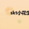 skt小花生拿过冠军吗(skt小花生) skt小花生拿过冠军吗(skt小花生)