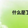 什么是丁克的意思(什么是丁克) 什么是丁克的意思(什么是丁克)