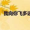 我向你飞多远都不累是什么歌（我向你飞）
