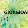 GIORGIOARMANI是什么（giorgioarmani）