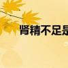 肾精不足是啥意思(肾精不足的原因) 肾精不足是啥意思(肾精不足的原因)