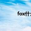 fox什么意思（box什么意思）