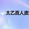 太乙真人皮肤手感排行（太乙真人皮肤）