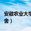 安徽农业大学宿舍真实照片（安徽农业大学宿舍）