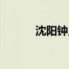 沈阳钟点工兼职（沈阳钟点工）
