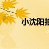 小沈阳拍电影（小沈阳电影作品）