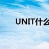 UNIT什么意思中文（unit什么意思）