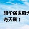 施华洛世奇天鹅项链怎么辨别真假（施华洛世奇天鹅）