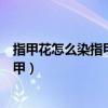 指甲花怎么染指甲更红指甲不上色怎么办（指甲花怎么染指甲）