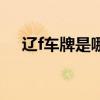 辽f车牌是哪个城市（辽f是哪里的车牌）