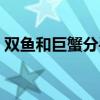 双鱼和巨蟹分手了还能复合吗（双鱼和巨蟹）
