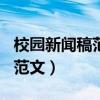 校园新闻稿范文500字左右（校园新闻稿格式范文）