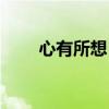 心有所想目有所望意思（心有所想）