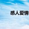 感人爱情电影催泪（感人爱情电影）