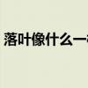 落叶像什么一样比喻句二年级（落叶像什么）