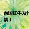 泰国红牛为什么被禁售了（泰国红牛为什么被禁）