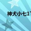 神犬小七1丫丫（神犬小七乐乐扮演者）