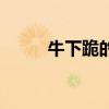 牛下跪的真相（牛下跪科学解释）