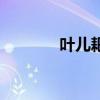 叶儿耙叶子是什么（叶儿耙）