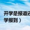 开学是报道还是报到的区别（开学报道还是开学报到）