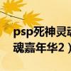 psp死神灵魂嘉年华2里的队章（psp死神灵魂嘉年华2）