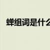 蝉组词是什么啊一年级（蝉的组词是什么）