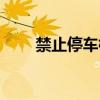 禁止停车标线指示（禁止停车标线）
