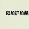 阳角护角条施工教程视频（阳角护角条）