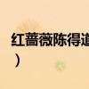 红蔷薇陈得道为什么娶顾霜菊（红蔷薇陈得道）