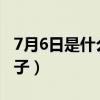 7月6日是什么日子?还送花(7月6日是什么日子) 7月6日是什么日子?还送花(7月6日是什么日子)