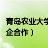 青岛农业大学校企合作好吗（青岛农业大学校企合作）
