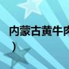 内蒙古黄牛肉多少钱一斤（黄牛肉多少钱一斤）