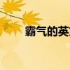 霸气的英文名游戏（霸气的英文名）
