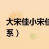 大宋佳小宋佳个人简历（大宋佳小宋佳什么关系）