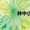 林中小屋2中国(林中小屋2) 林中小屋2中国(林中小屋2)