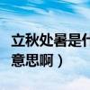 立秋处暑是什么意思啊英语（立秋处暑是什么意思啊）