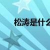 松涛是什么意思啊（松涛是什么意思）