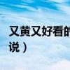 又黄又好看的修仙小说（又黄又好看的都市小说）