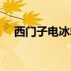 西门子电冰箱保修几年（西门子电冰箱）