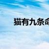 猫有九条命唯有一颗心（猫有九条命）