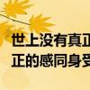 世上没有真正的感同身受的句子（世上没有真正的感同身受）
