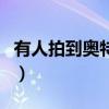 有人拍到奥特曼视频(有人拍到奥特曼杀人了) 有人拍到奥特曼视频(有人拍到奥特曼杀人了)