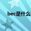 bec是什么考试作用（bec是什么考试）