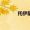 托伊是什么意思（托伊沃宁）