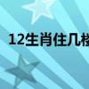 12生肖住几楼最旺兔(12生肖住几楼最旺) 12生肖住几楼最旺兔(12生肖住几楼最旺)